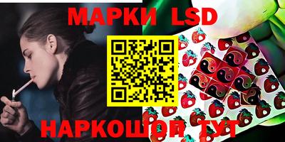 МДПВ Новодвинск