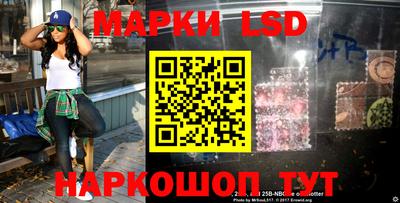 гидра Новозыбков
