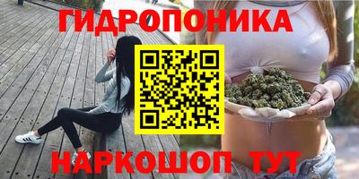ешки Новокубанск
