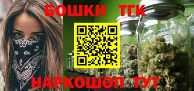 МДПВ Новодвинск
