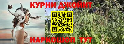 МДПВ Новодвинск
