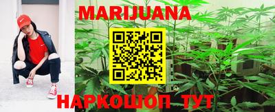 гидра Новозыбков