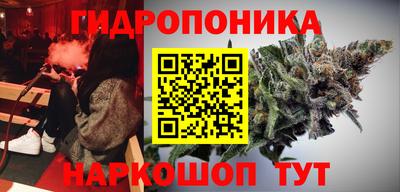 МДПВ Новодвинск