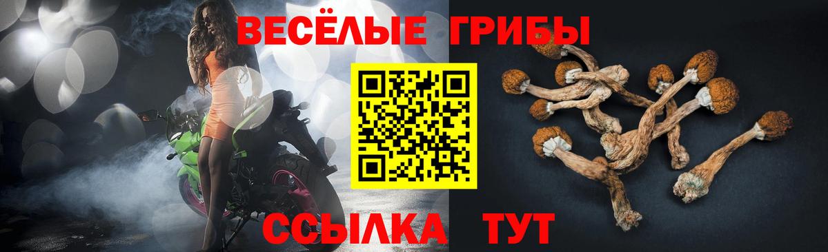 Псилоцибиновые грибы прущие грибы  Галлюциногенные грибы мухоморы  Вход с VPN  Сергиев Посад 